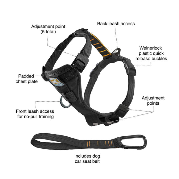 Kurgo Harness