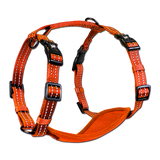Alcott- Harnais pour chien - Dog Harness