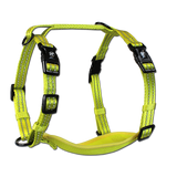 Alcott- Harnais pour chien - Dog Harness