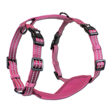 Alcott- Harnais pour chien - Dog Harness