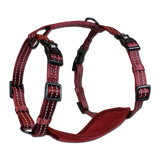 Alcott- Harnais pour chien - Dog Harness