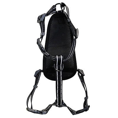 Alcott- Harnais pour chien - Dog Harness