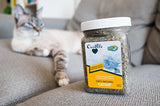 Our Pets - Cosmic Catnip