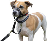 Halti - Licol / Headcollar